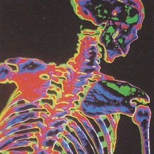 Meet your Posher, Isadora